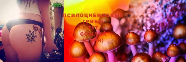 Альфа ПВП Алексеевка